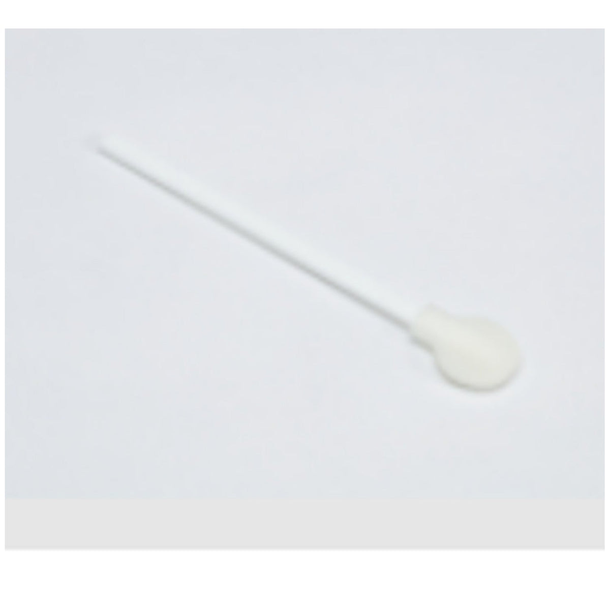 Qiagen Fta Purification Reagent & Accessories - Swabs, Foam-Tipped Applicator