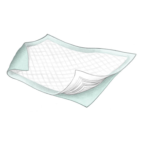 Cardinal Health Fluff & Polymer Underpads