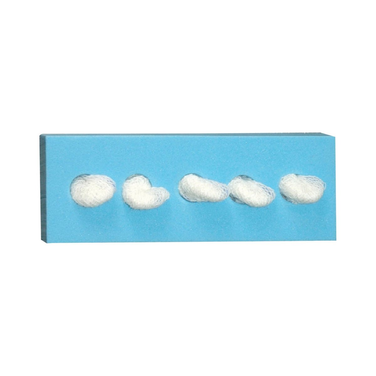 Dukal Dissecting Sponges - Cherry Sponge, C-5® Holder, Sterile