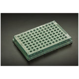Simport Amplatetm 96 - Well Thin-Walled PCR Plates - 0.2ML (10/Bg, 10 Bg/CS) – image 2