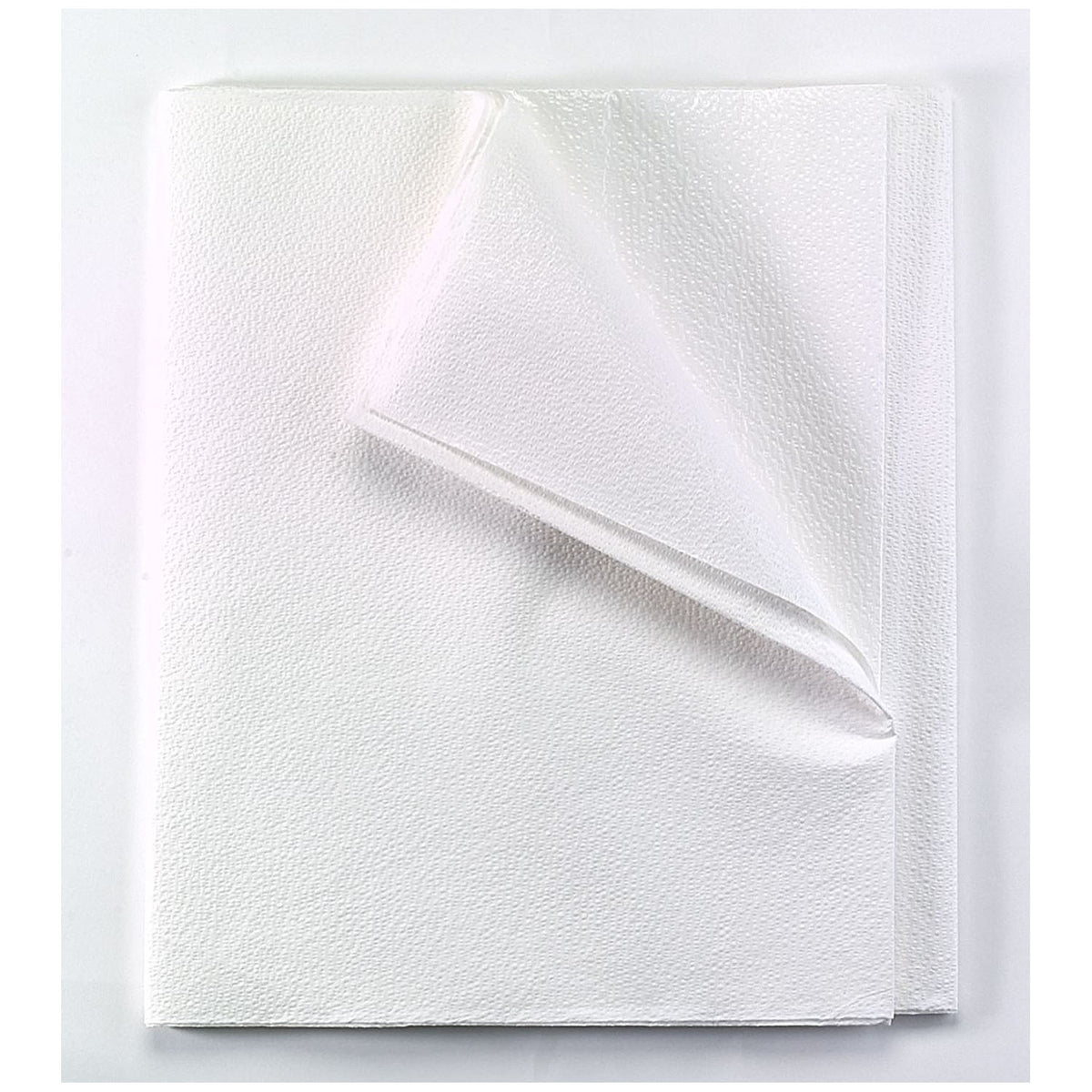 Tidi All Tissue Patient Drape Sheet - 2-Ply – image 3