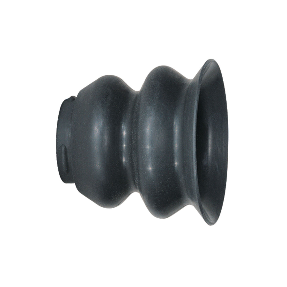 PanOptic Accessories: iExaminer Components - IPHONE4/4S